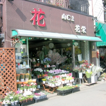 「向島　花栄」　（東京都墨田区）の花屋店舗写真1